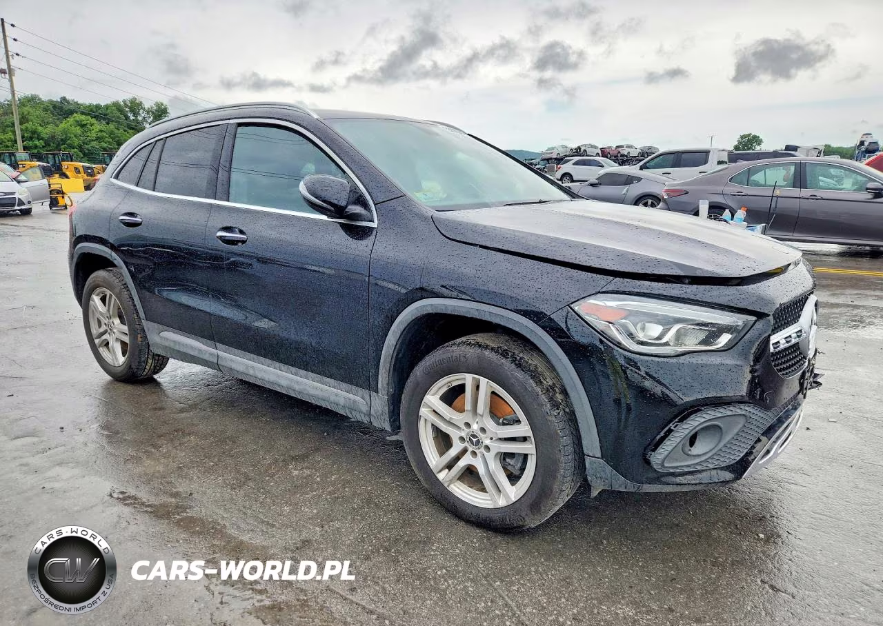 2021 Mercedes-Benz Gla 250 4Matic VIN:W1N4N4HB2MJ200189 - 4