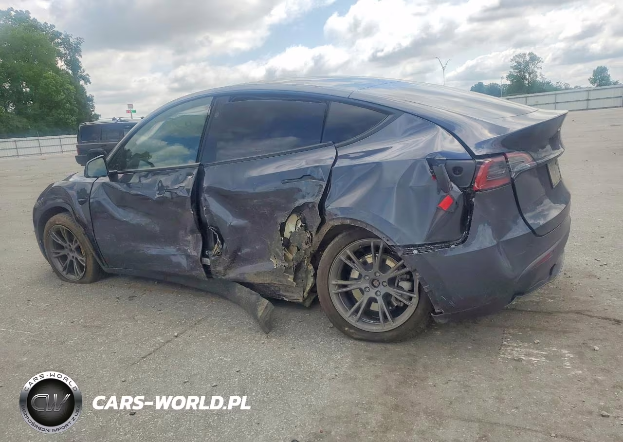 2025 Tesla Model Y VIN:7SAYGDEE6SA360291 - 2