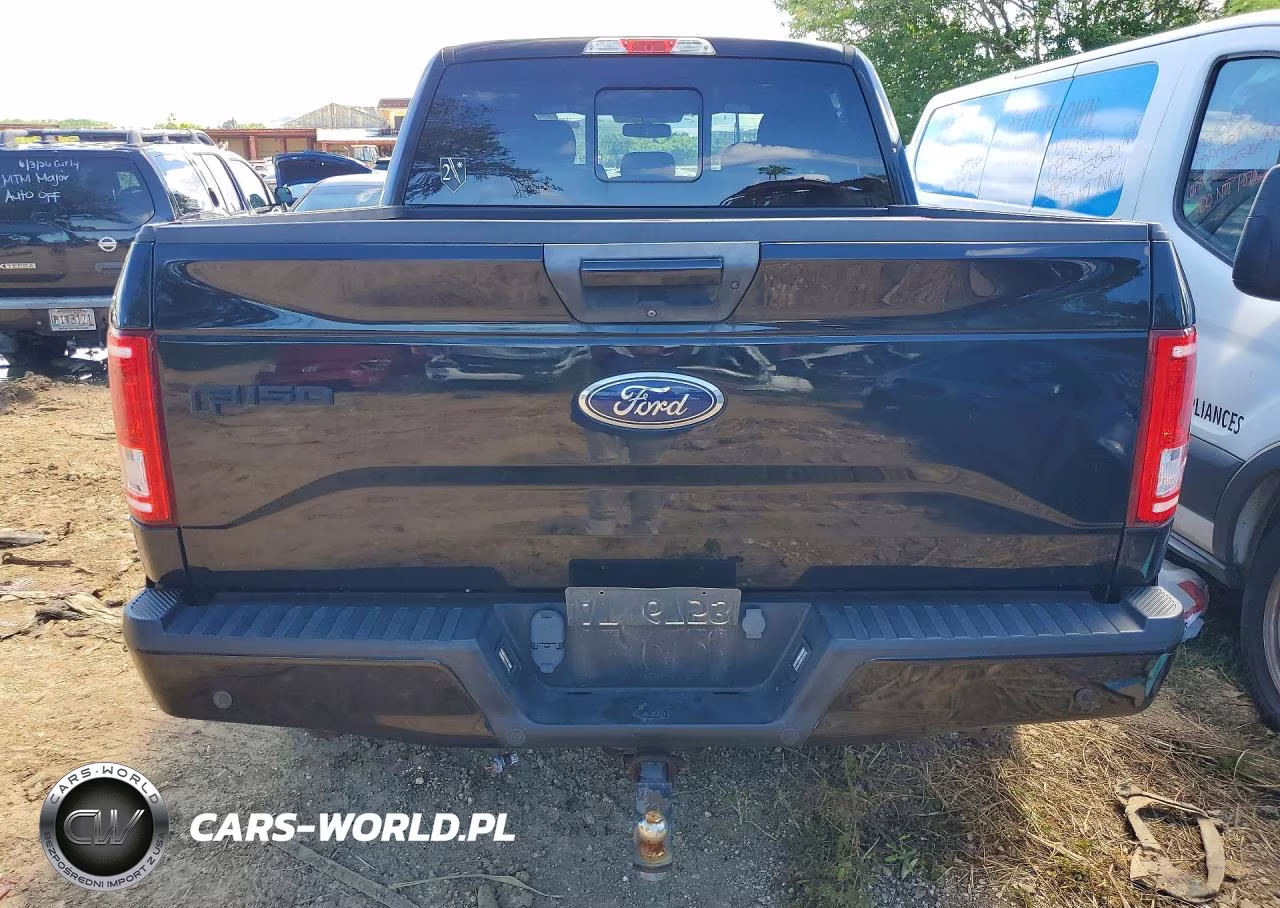 2017 Ford F150 Supercrew VIN:1FTEW1EG5HKE32843 - 6