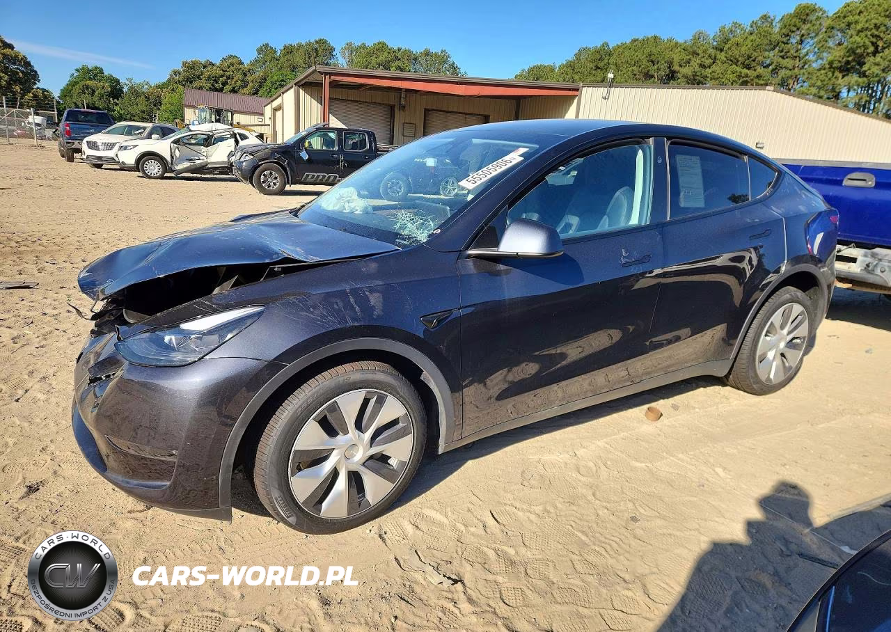 2024 Tesla Model Y VIN:7SAYGDEE3RA222671 - 1