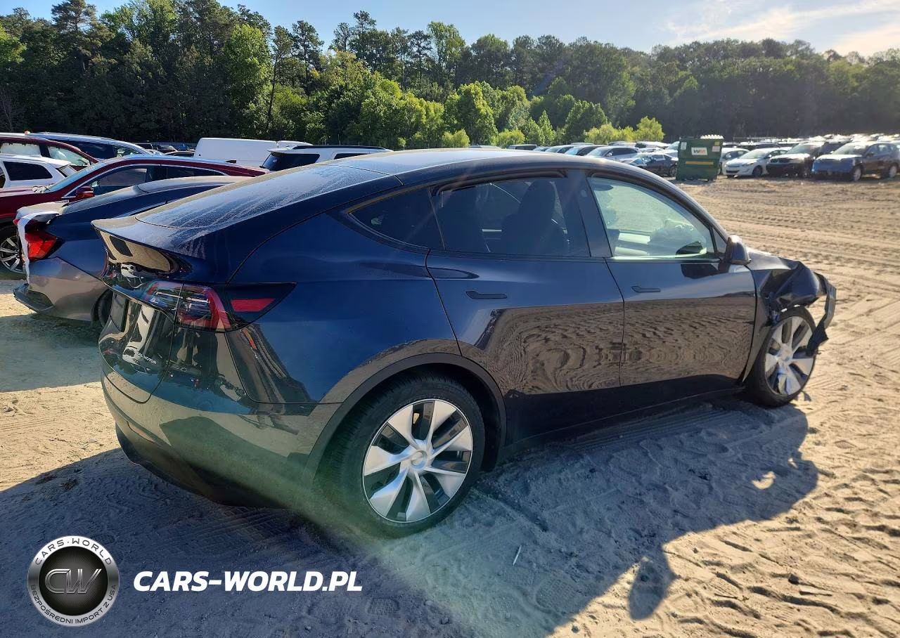 2024 Tesla Model Y VIN:7SAYGDEE3RA222671 - 3