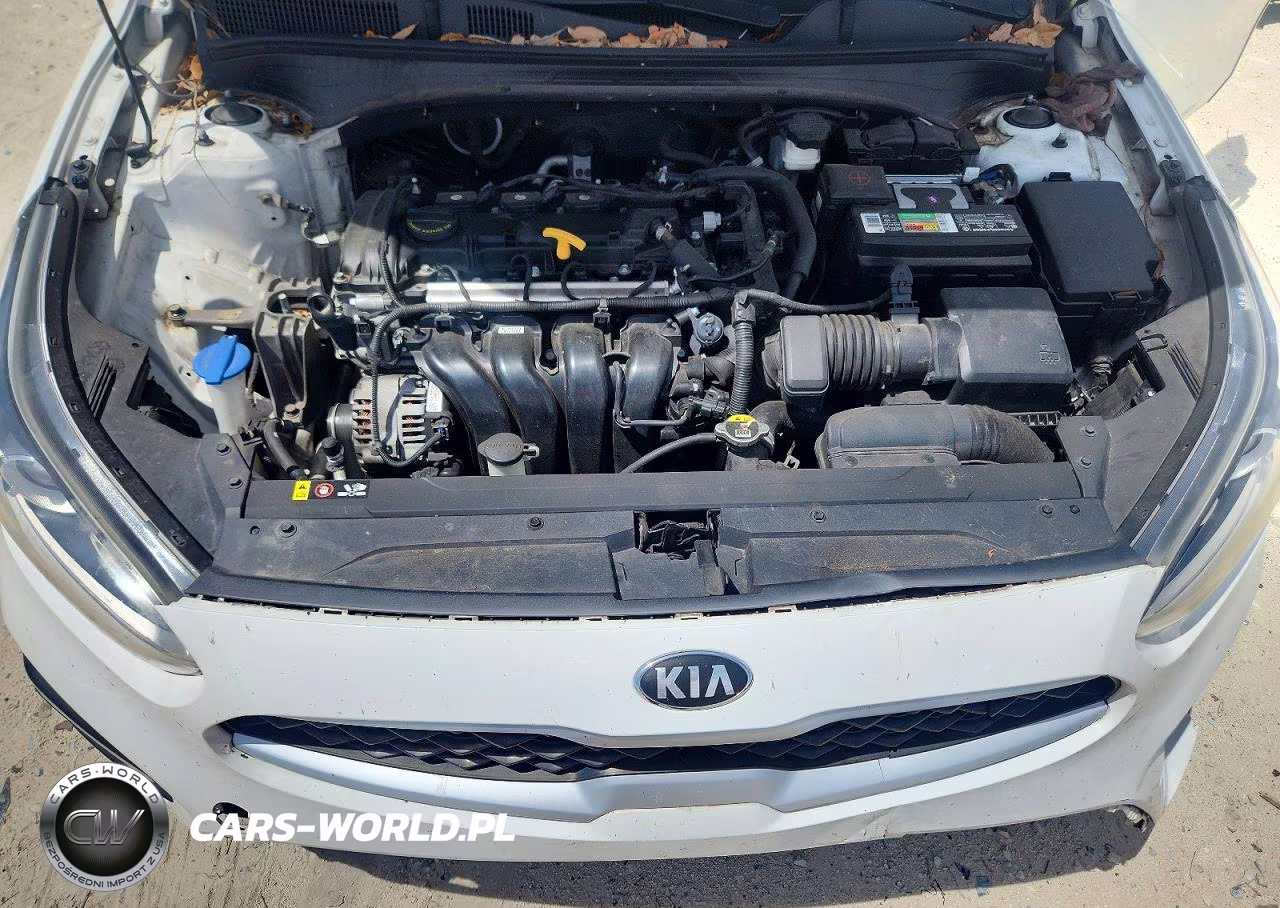 2019 Kia Forte Fe VIN:3KPF24AD0KE057693 - 11