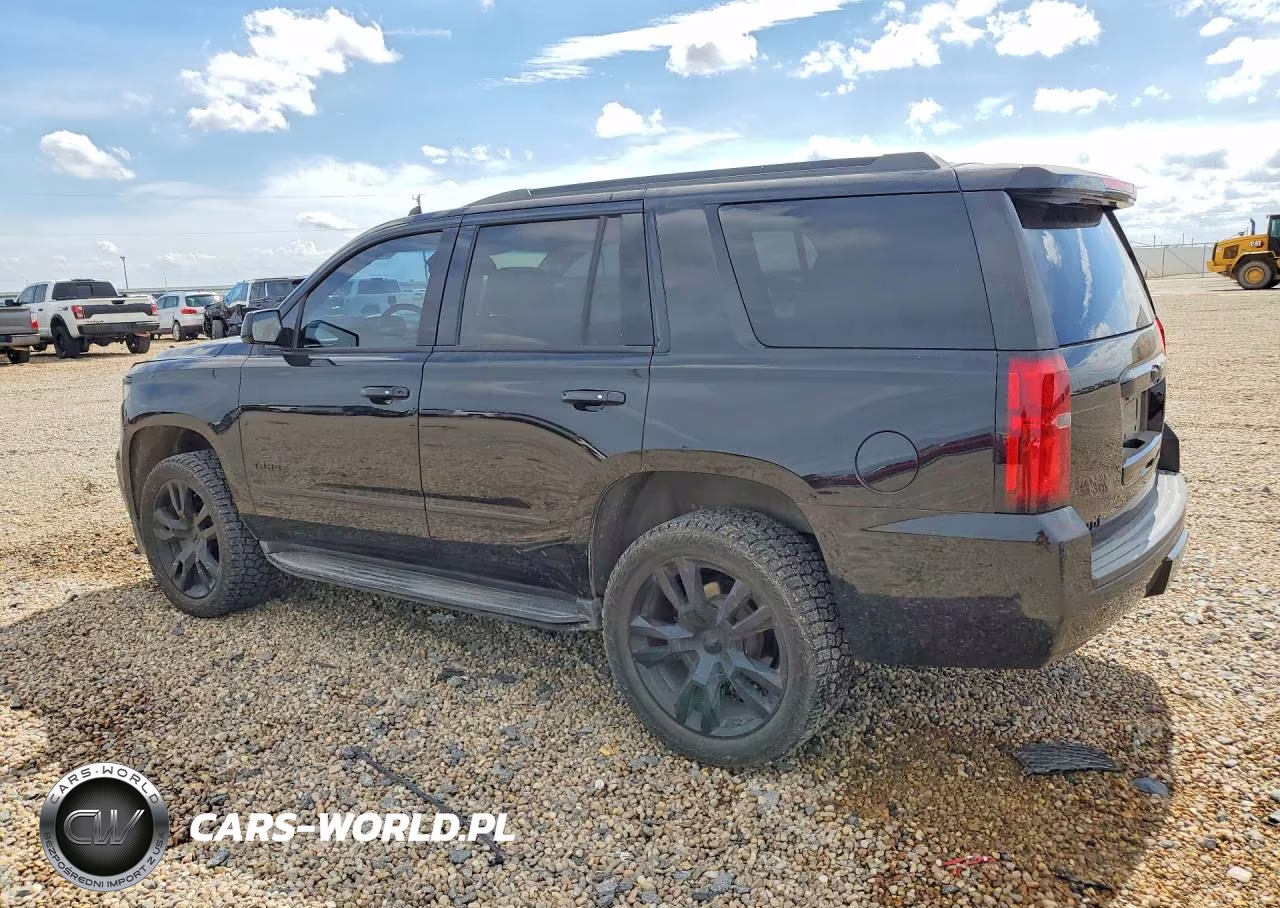 2019 Chevrolet Tahoe K1500 Premier VIN:1GNSKCKJ3KR253815 - 2