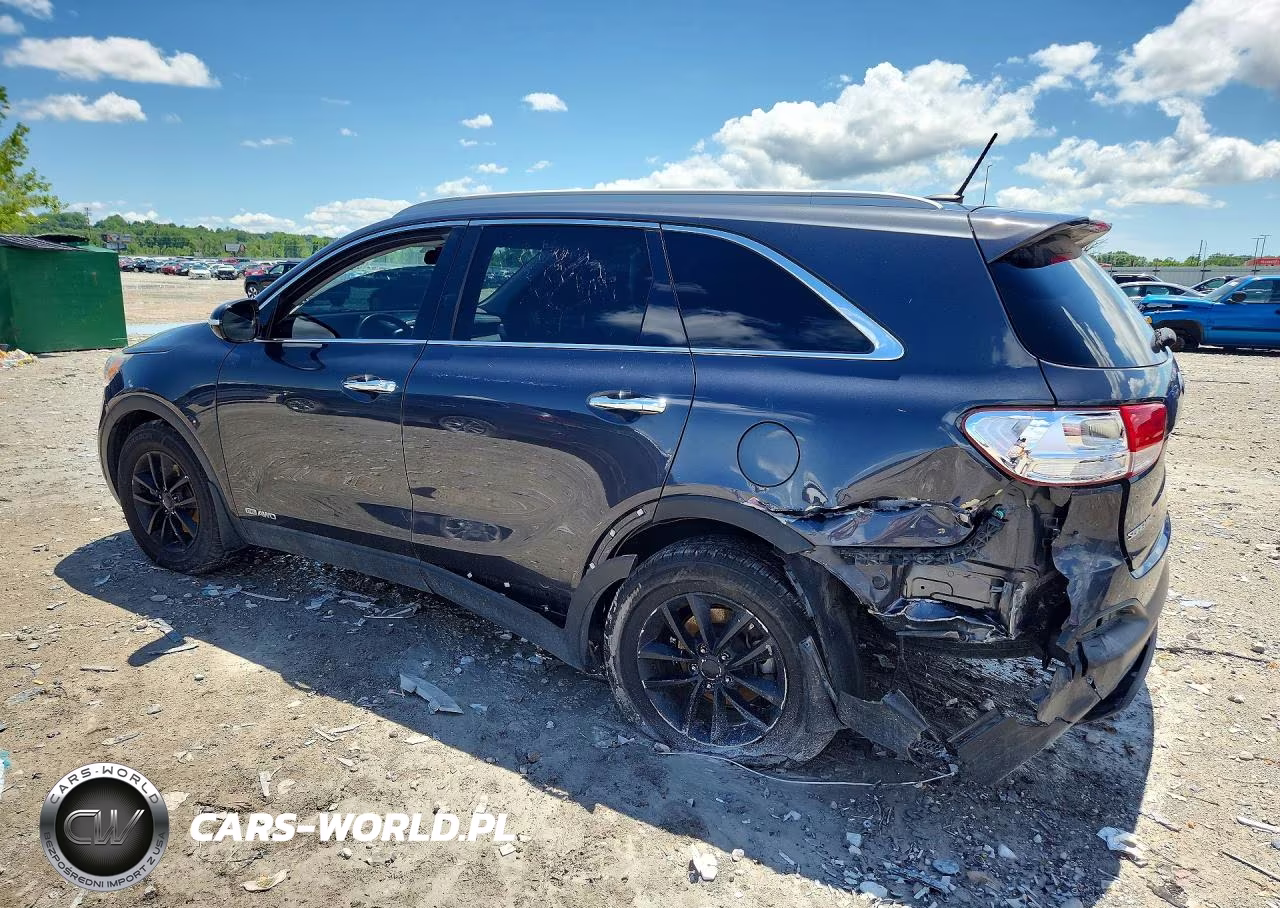 2017 Kia Sorento VIN:5XYPGDA56HG240798 - 2