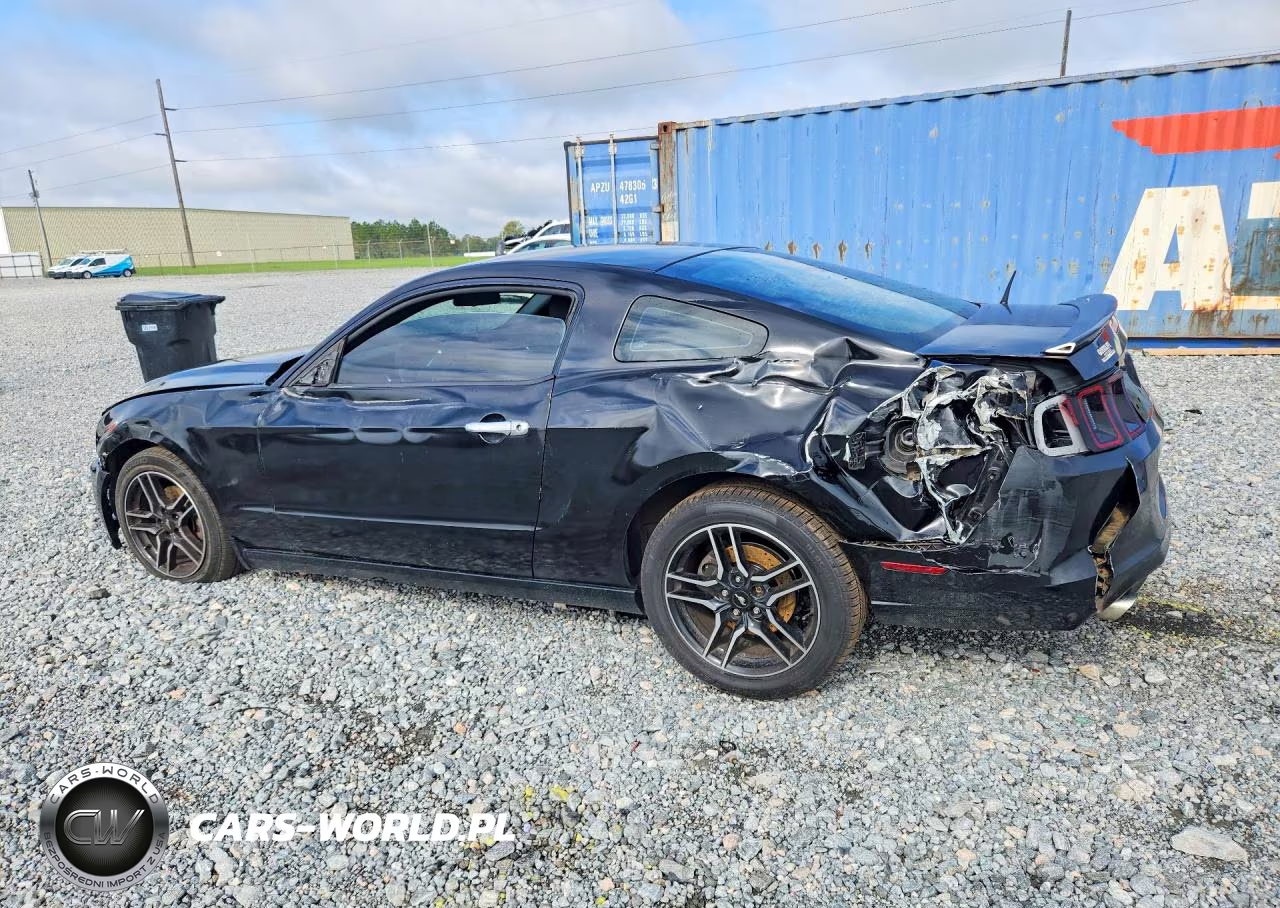 2014 Ford Mustang VIN:1ZVBP8AM6E5203275 - 2