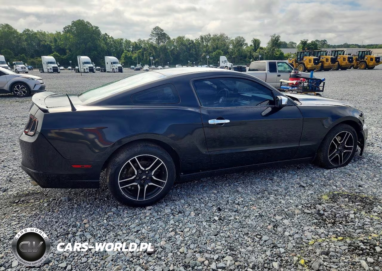 2014 Ford Mustang VIN:1ZVBP8AM6E5203275 - 3