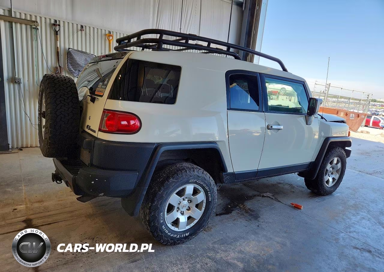2010 Toyota Fj Cruiser Base VIN:JTEBU4BF0AK081766 - 3