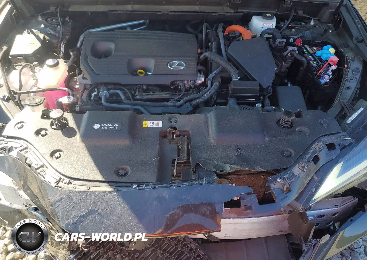 2022 Lexus Nx 350H VIN:JTJGKCEZ0N2003491 - 12