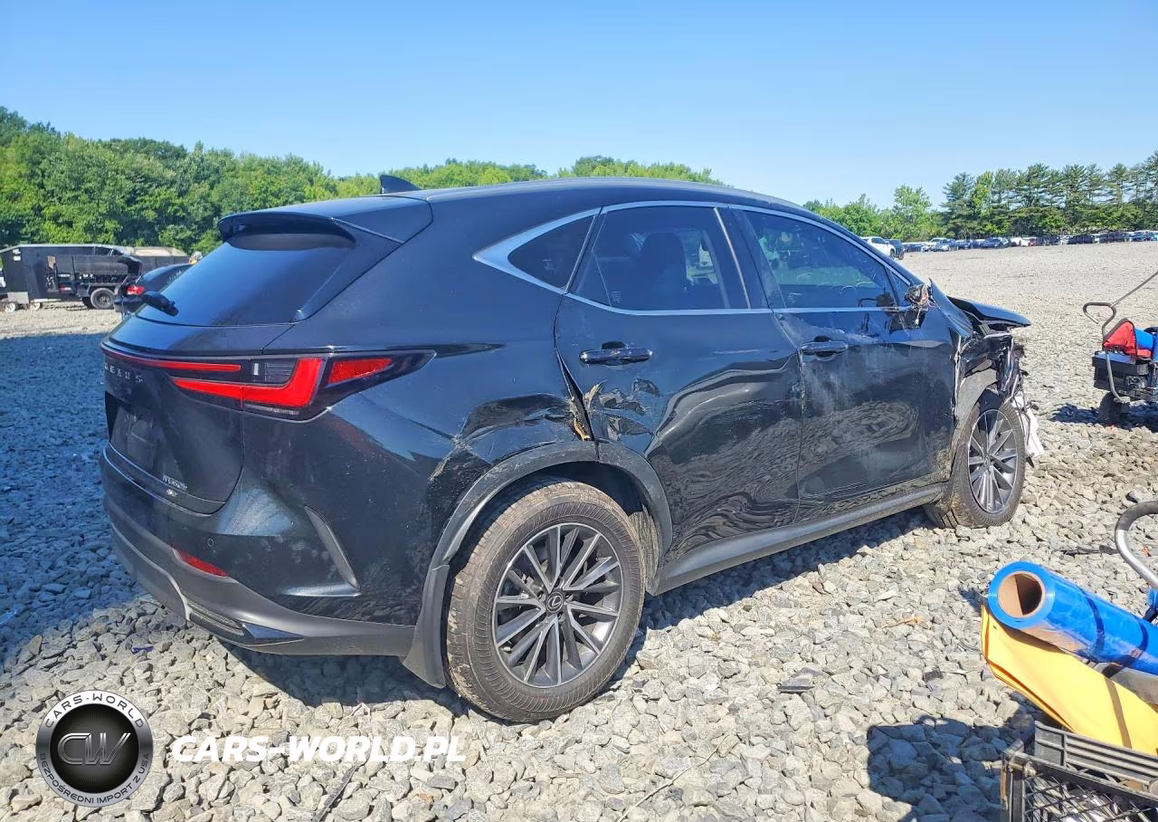 2022 Lexus Nx 350H VIN:JTJGKCEZ0N2003491 - 3
