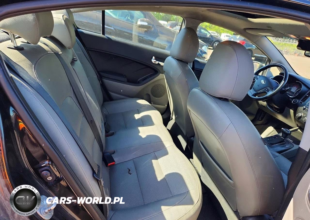 2015 Kia Forte Ex VIN:KNAFZ4A81F5323039 - 10