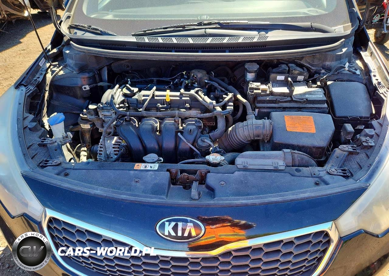2015 Kia Forte Ex VIN:KNAFZ4A81F5323039 - 11