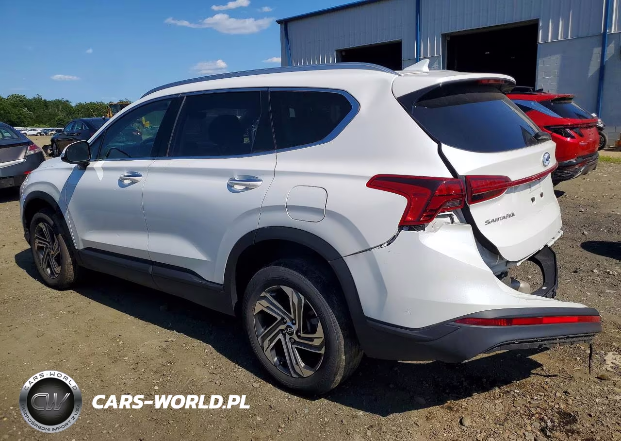 2023 Hyundai Santa Fe Sel VIN:5NMS2DAJ7PH488777 - 2