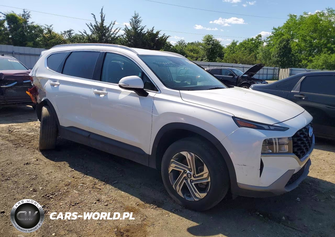 2023 Hyundai Santa Fe Sel VIN:5NMS2DAJ7PH488777 - 4