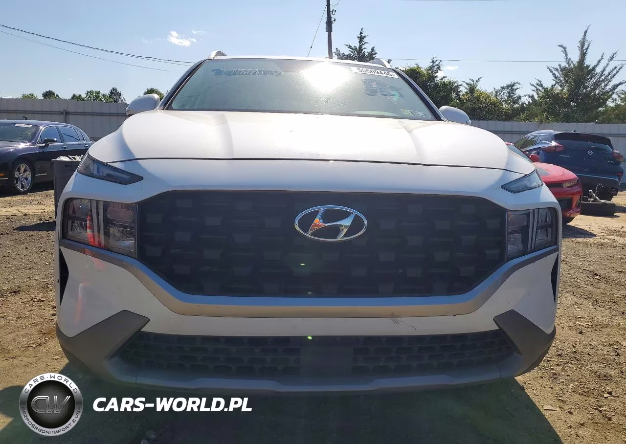2023 Hyundai Santa Fe Sel VIN:5NMS2DAJ7PH488777 - 5