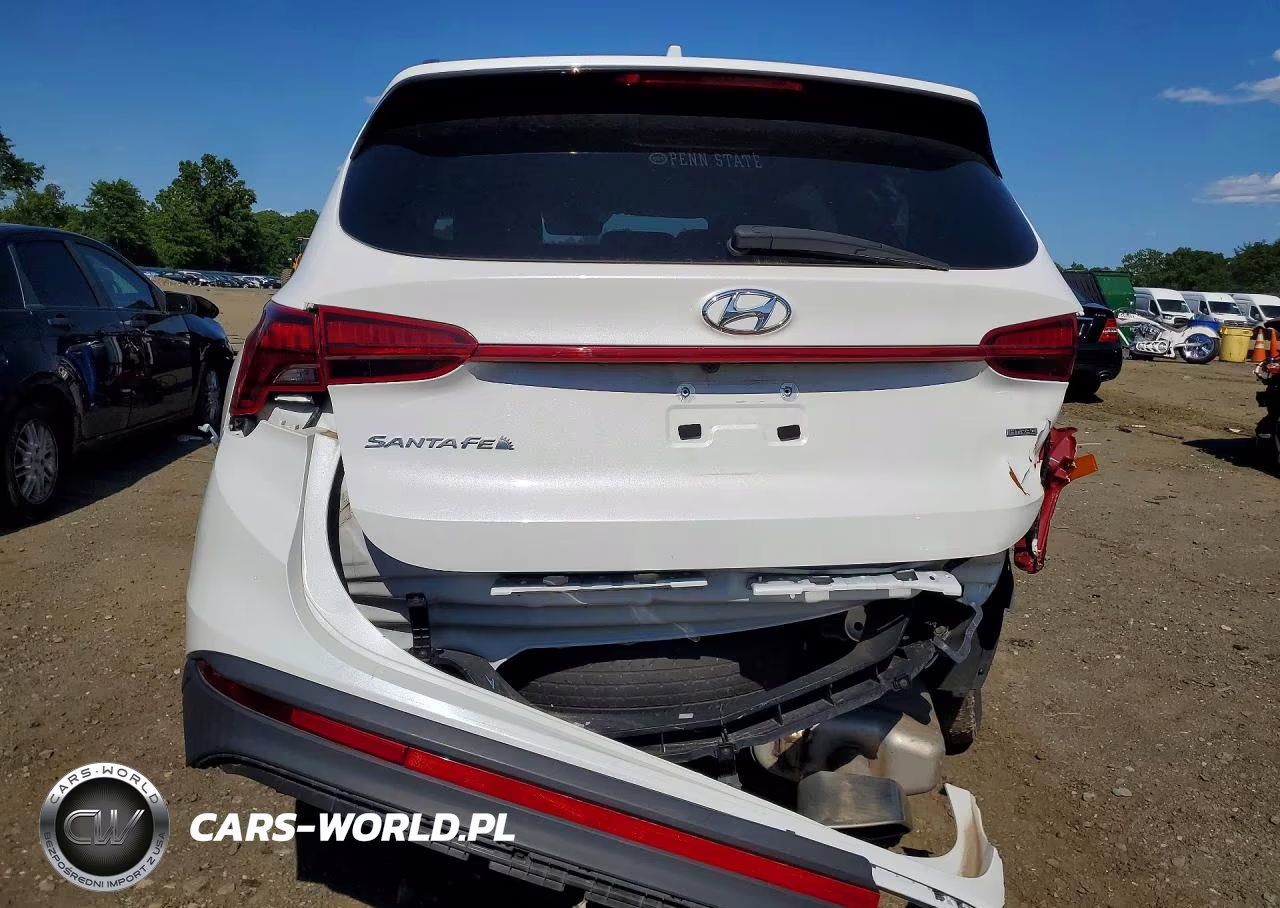 2023 Hyundai Santa Fe Sel VIN:5NMS2DAJ7PH488777 - 6