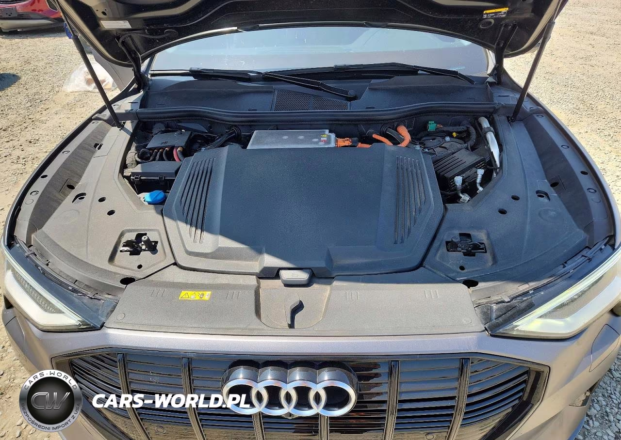 2021 Audi E-Tron Premium VIN:WA1AAAGE6MB024641 - 11