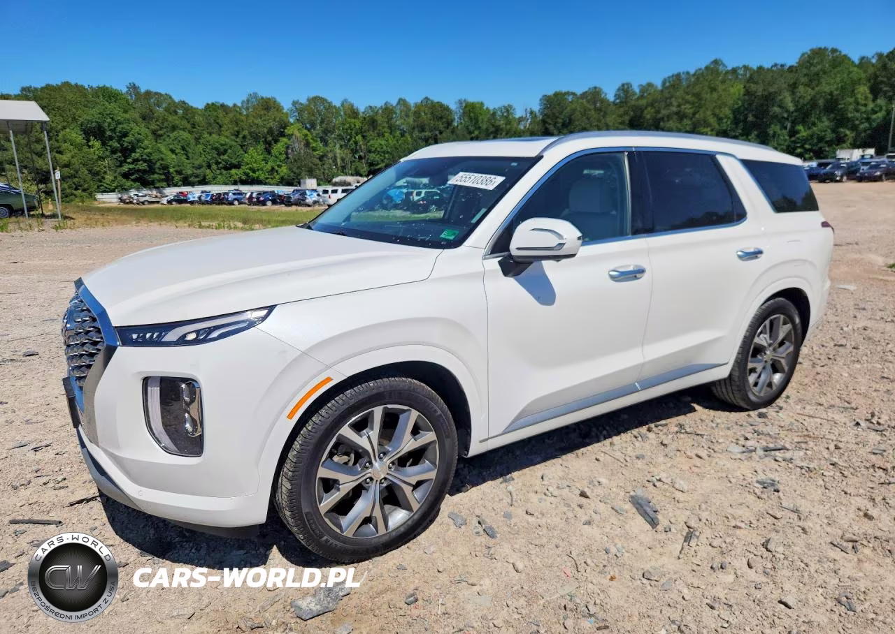 2021 Hyundai Palisade Limited – zdjęcie 1 z 13