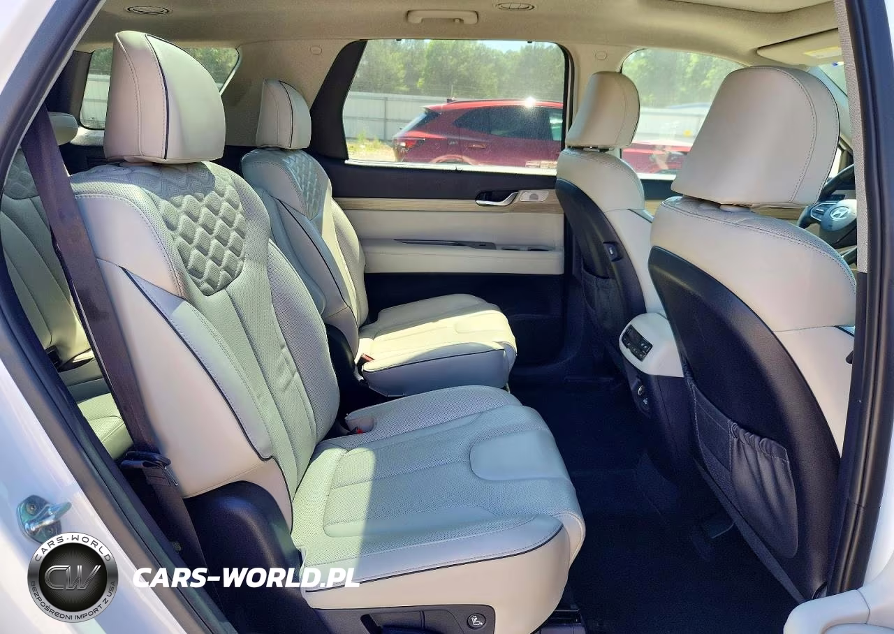 2021 Hyundai Palisade Limited VIN:KM8R54HE8MU310908 - 11