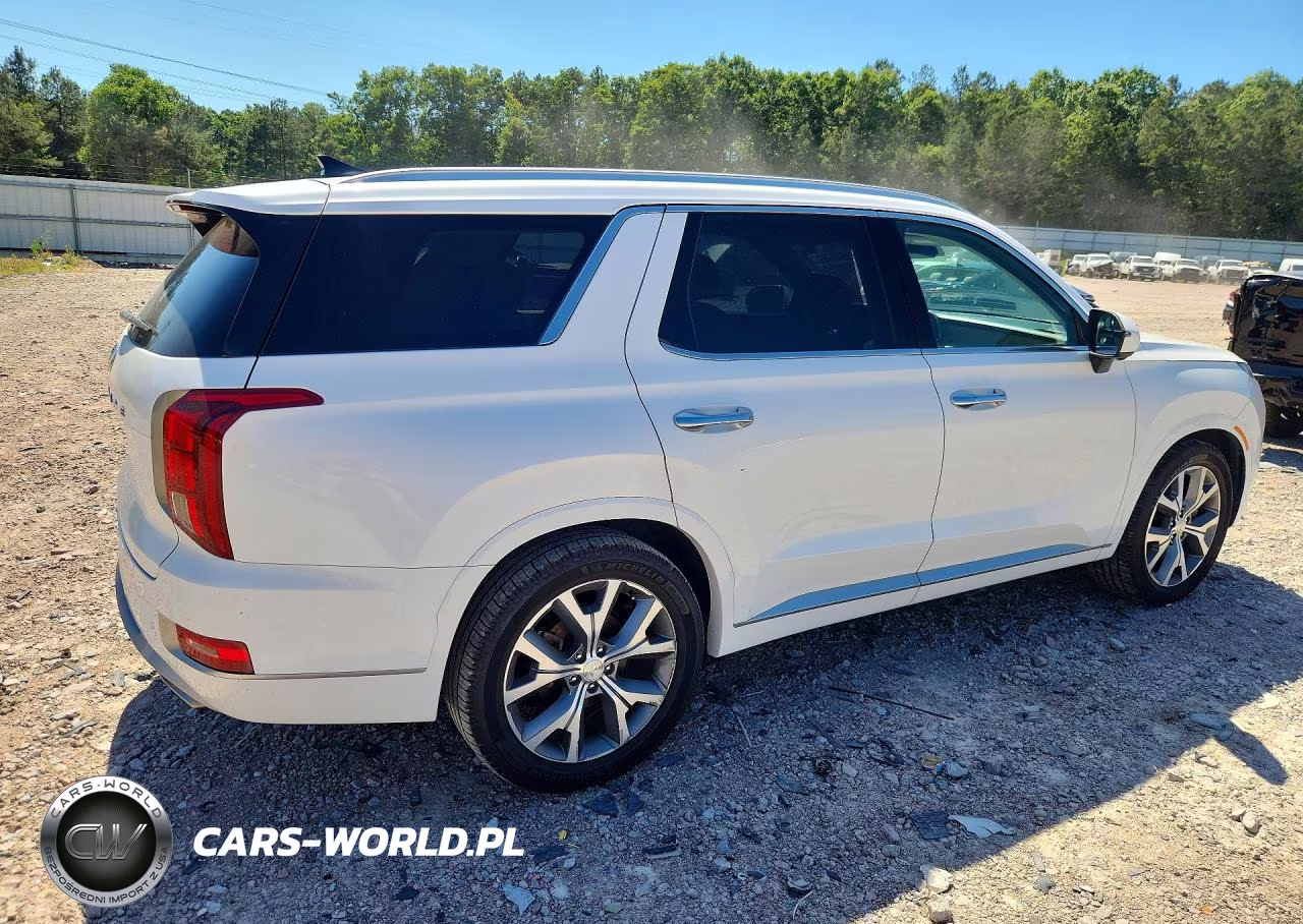 2021 Hyundai Palisade Limited VIN:KM8R54HE8MU310908 - 3
