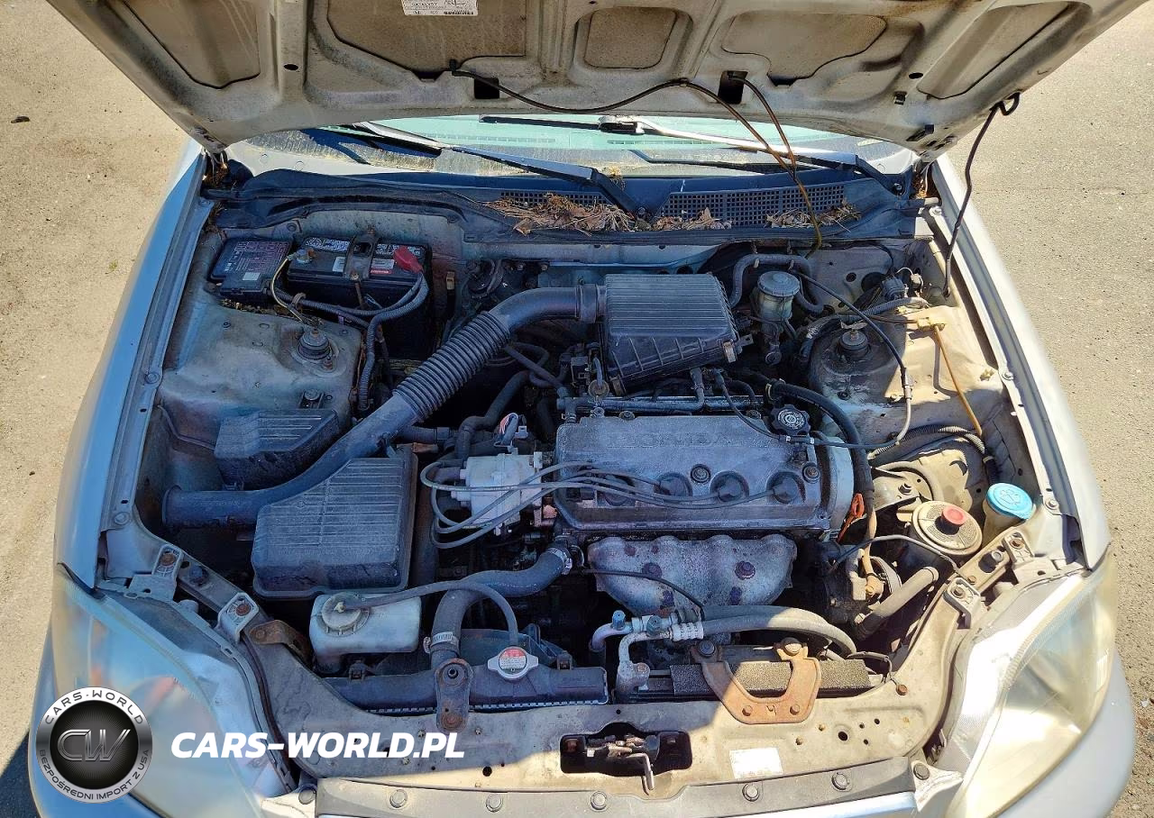 1999 Honda Civic Base VIN:2HGEJ6612XH541029 - 11