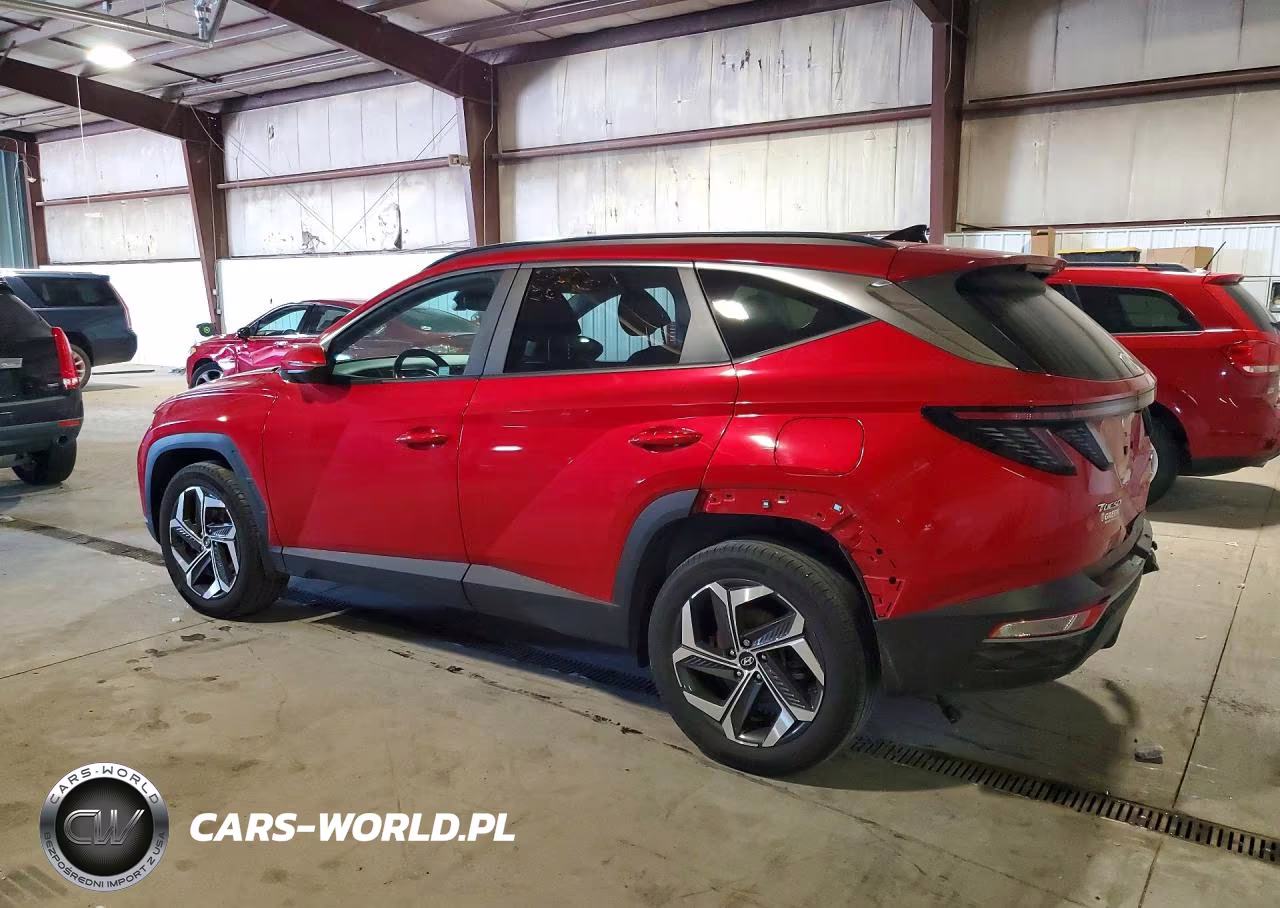 2023 Hyundai Tucson Sel VIN:5NMJFCAE9PH171306 - 2