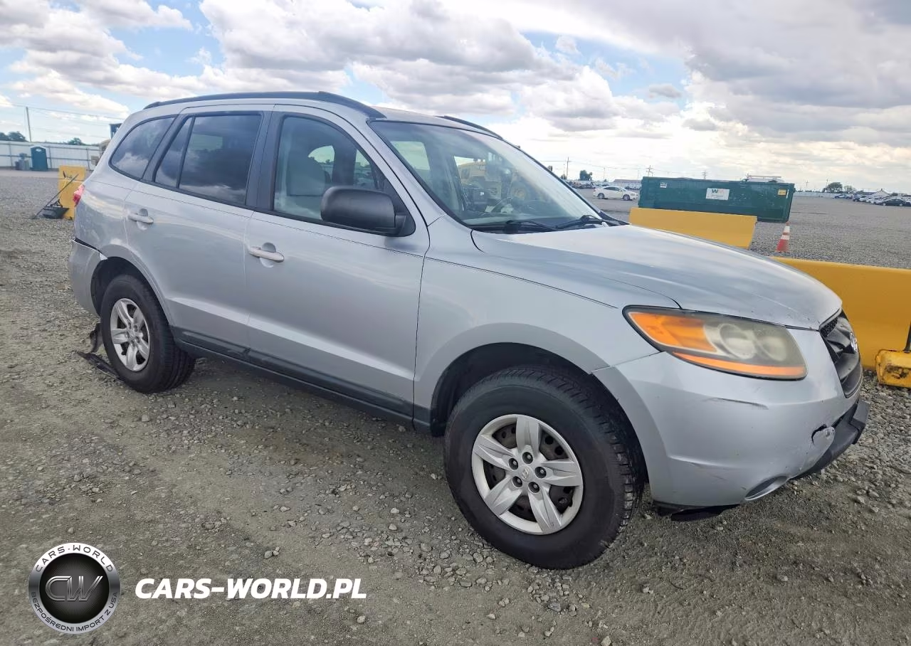 2009 Hyundai Santa Fe Gls VIN:5NMSG13D29H301018 - 4