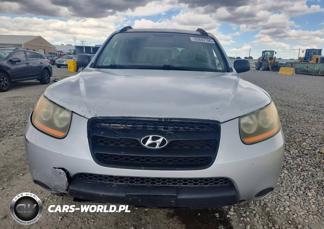 2009 Hyundai Santa Fe Gls VIN:5NMSG13D29H301018 - 5