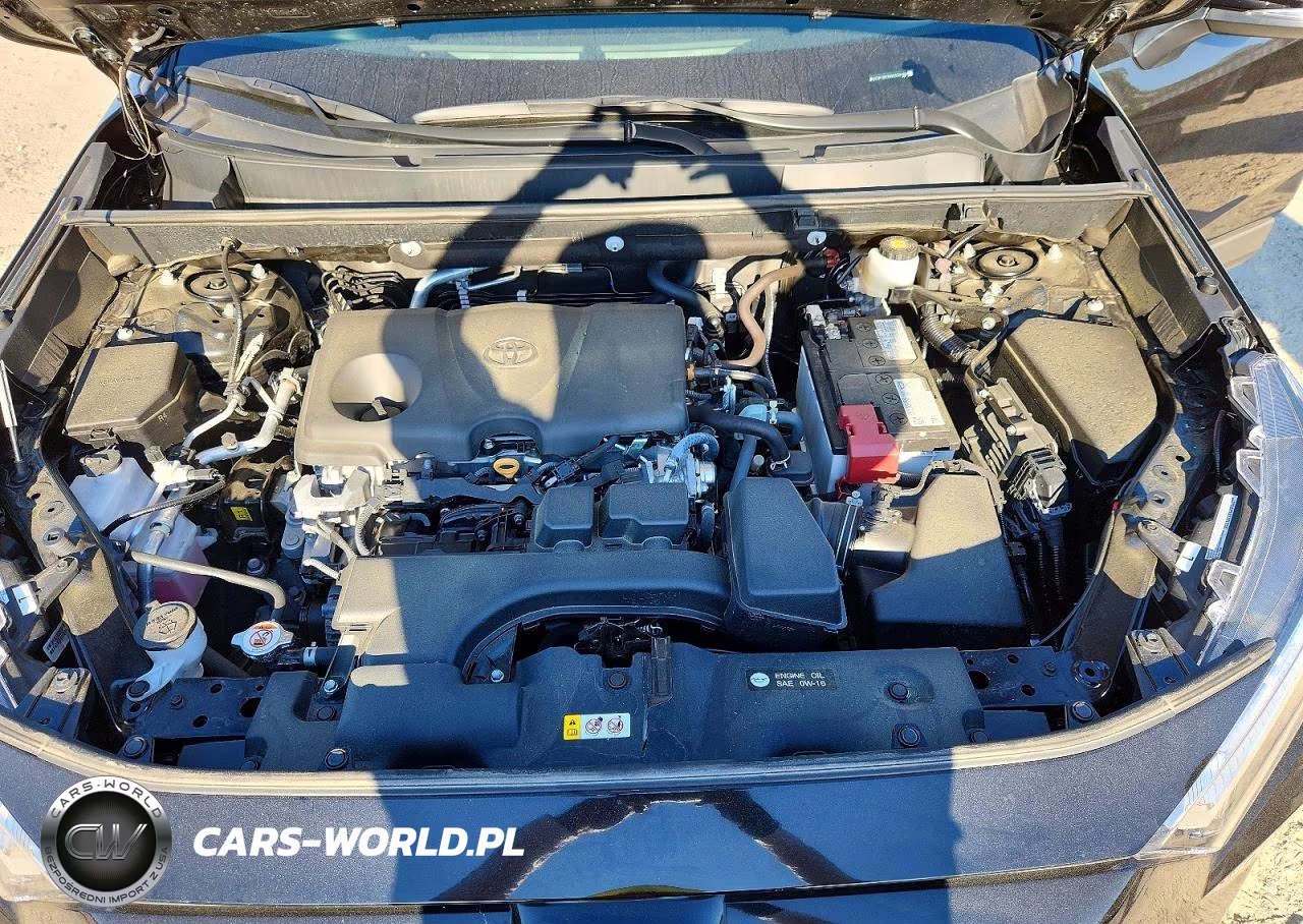 2025 Toyota Rav4 Xle VIN:2T3P1RFV8SC534169 - 12