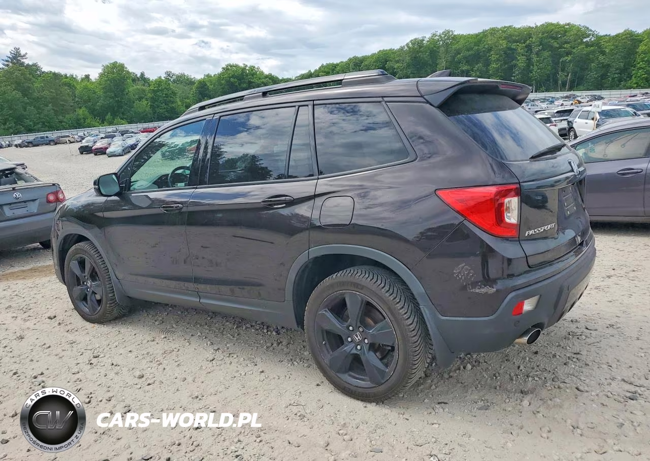 2019 Honda Passport Elite VIN:5FNYF8H02KB014104 - 2