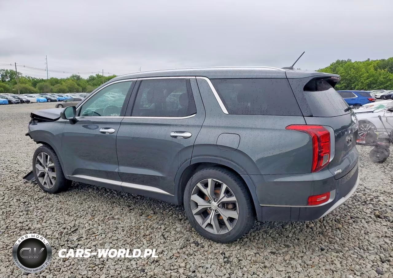 2021 Hyundai Palisade Sel VIN:KM8R3DHE3MU325063 - 2
