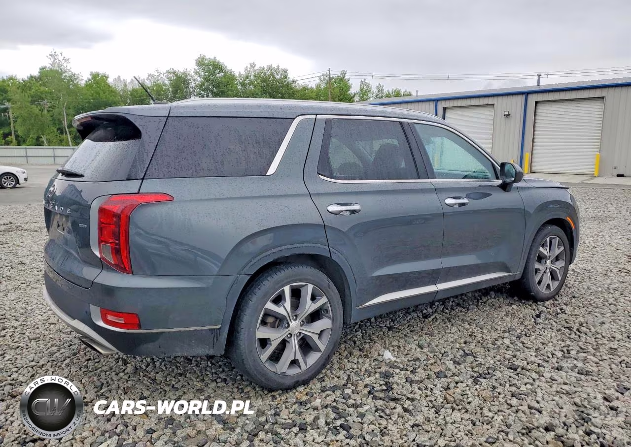 2021 Hyundai Palisade Sel VIN:KM8R3DHE3MU325063 - 3