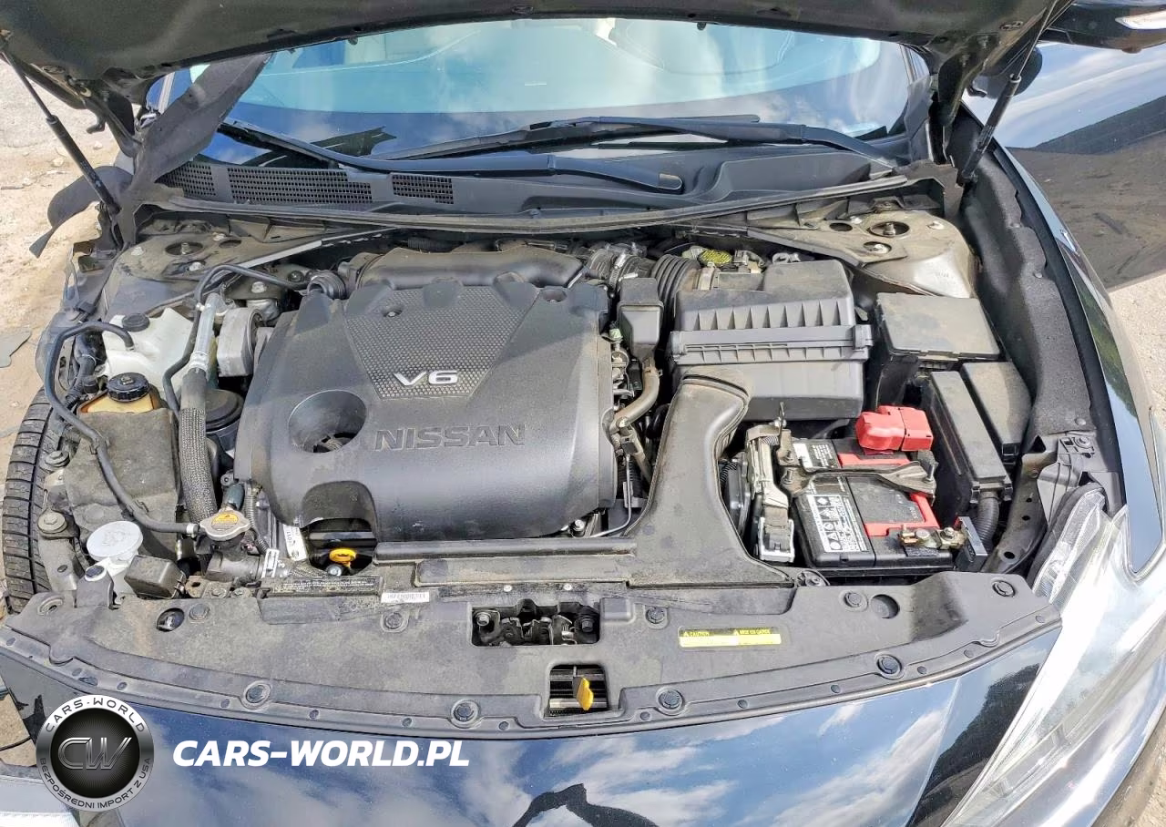 2016 Nissan Maxima Platinum VIN:1N4AA6AP0GC413907 - 11