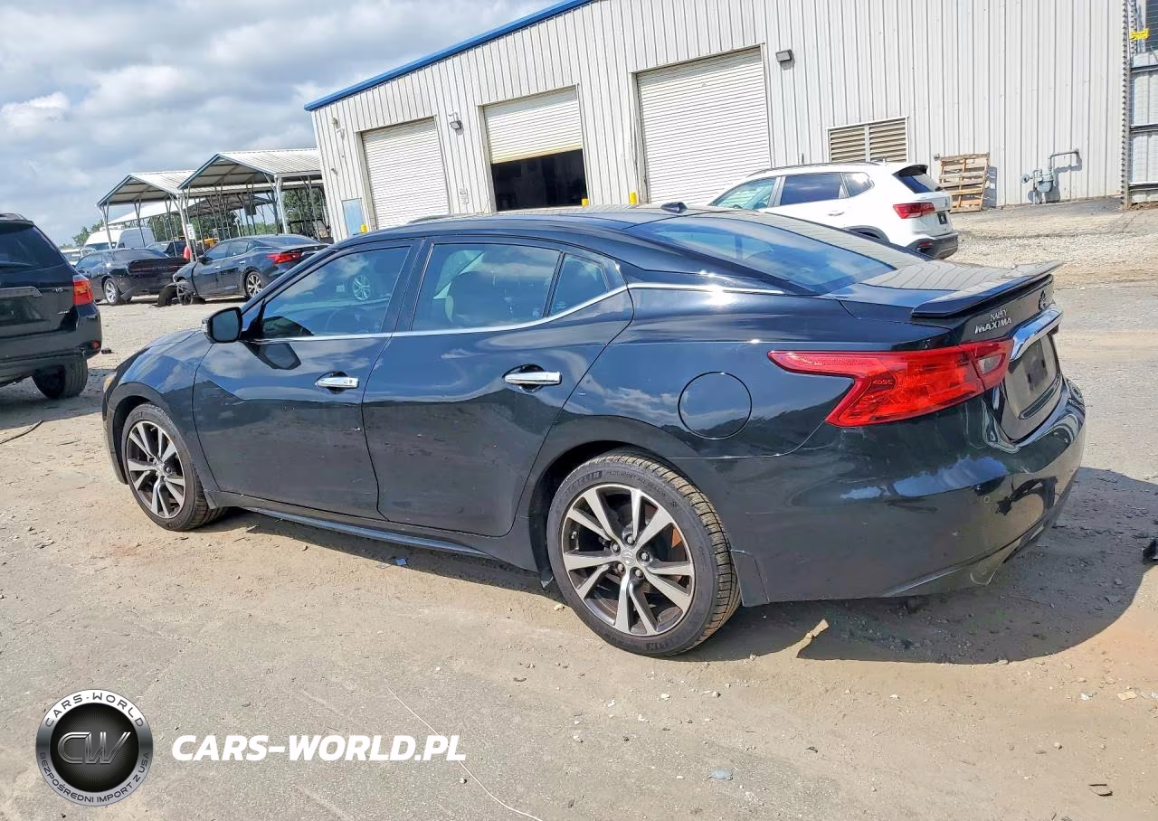 2016 Nissan Maxima Platinum VIN:1N4AA6AP0GC413907 - 2