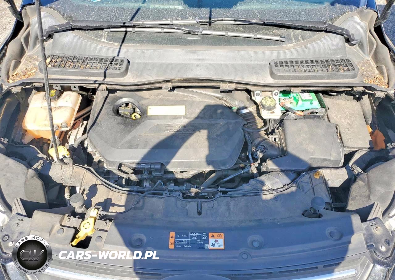 2015 Ford Escape Se VIN:1FMCU0GX9FUB31199 - 12