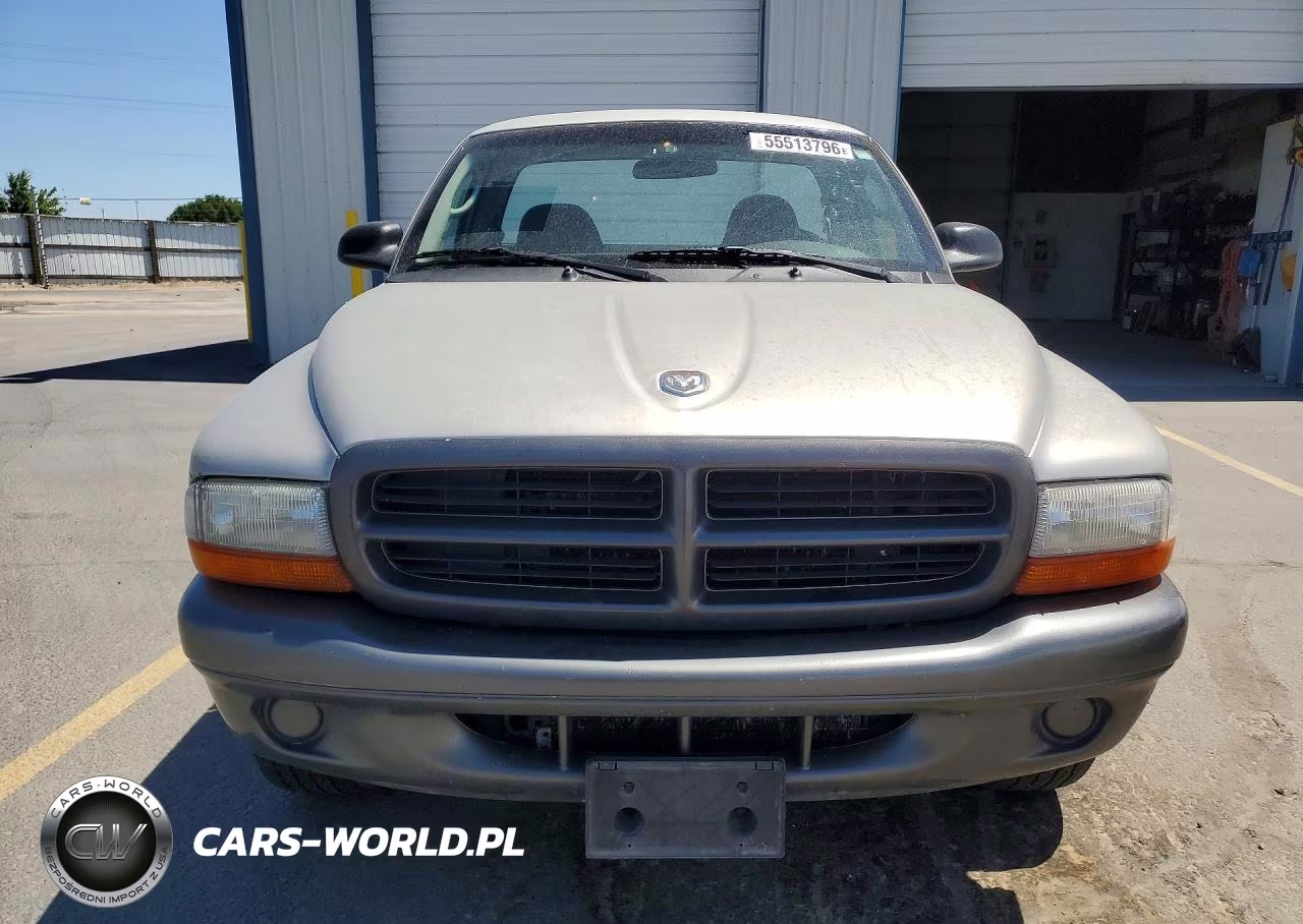 2002 Dodge Dakota Base VIN:1B7FL16X12S682423 - 5