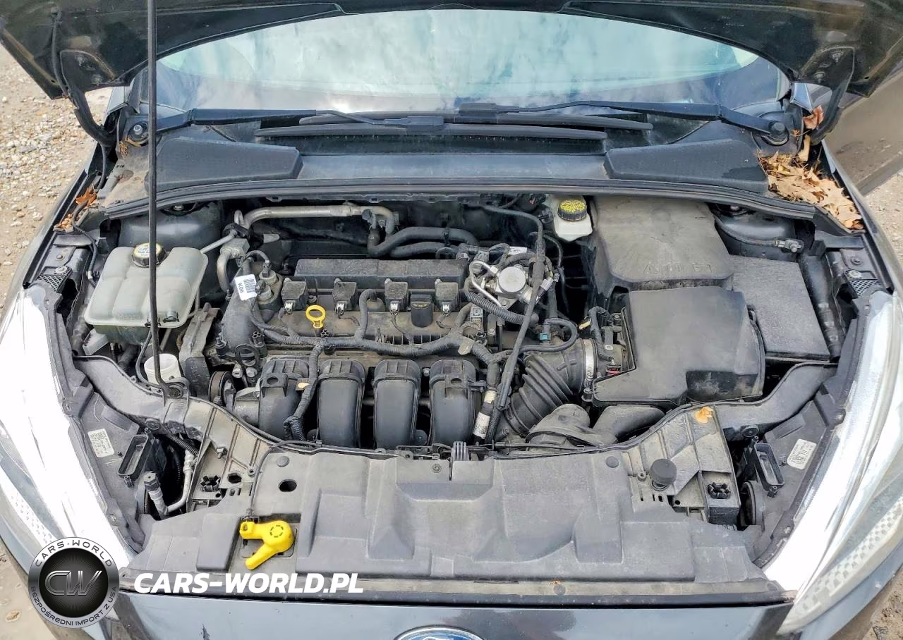 2017 Ford Focus Se VIN:1FADP3F22HL296386 - 11