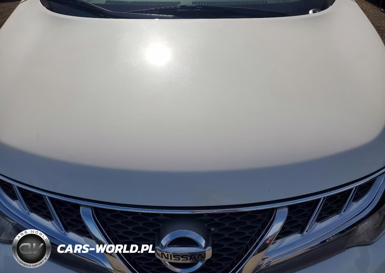 2014 Nissan Murano Le VIN:JN8AZ1MW3EW528428 - 12