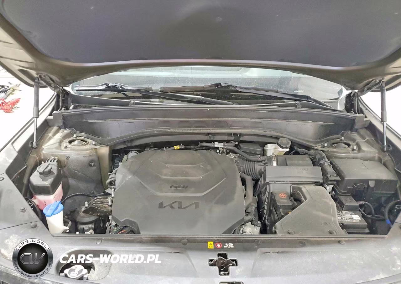 2022 Kia Telluride Ex VIN:5XYP3DHC7NG247495 - 12