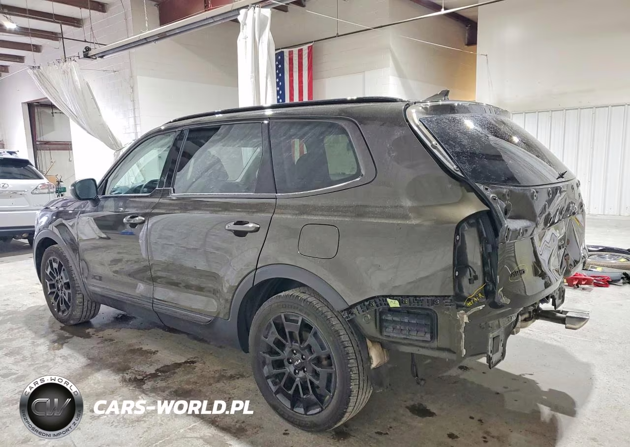 2022 Kia Telluride Ex VIN:5XYP3DHC7NG247495 - 2