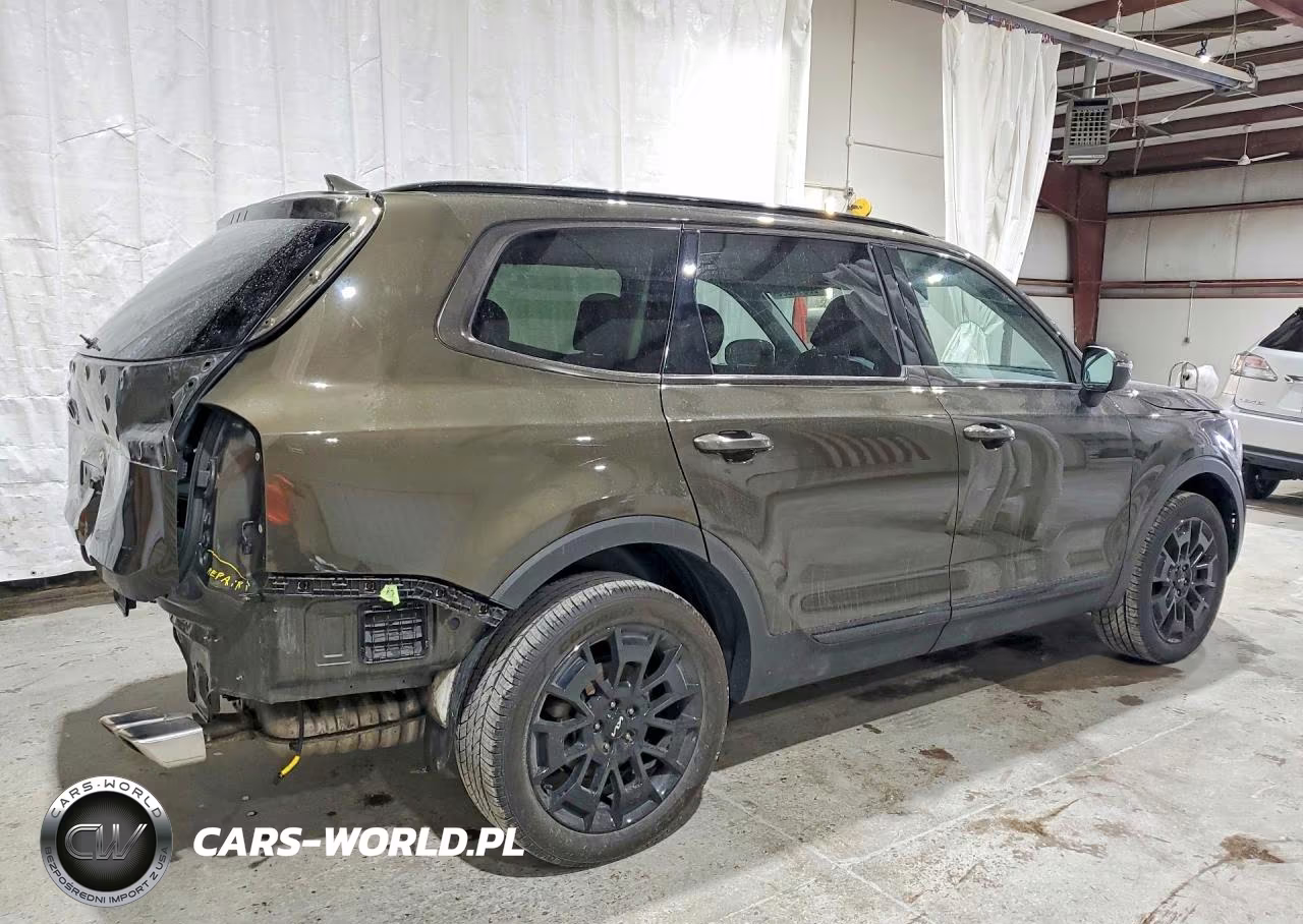 2022 Kia Telluride Ex VIN:5XYP3DHC7NG247495 - 3