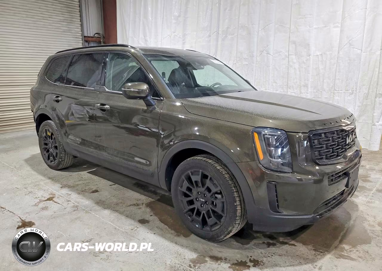 2022 Kia Telluride Ex VIN:5XYP3DHC7NG247495 - 4