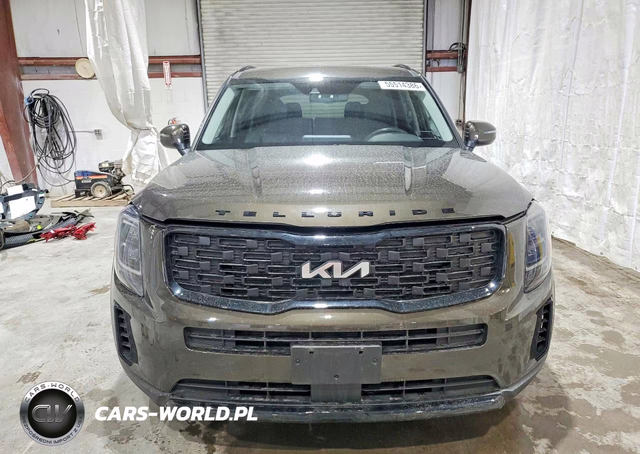 2022 Kia Telluride Ex VIN:5XYP3DHC7NG247495 - 5