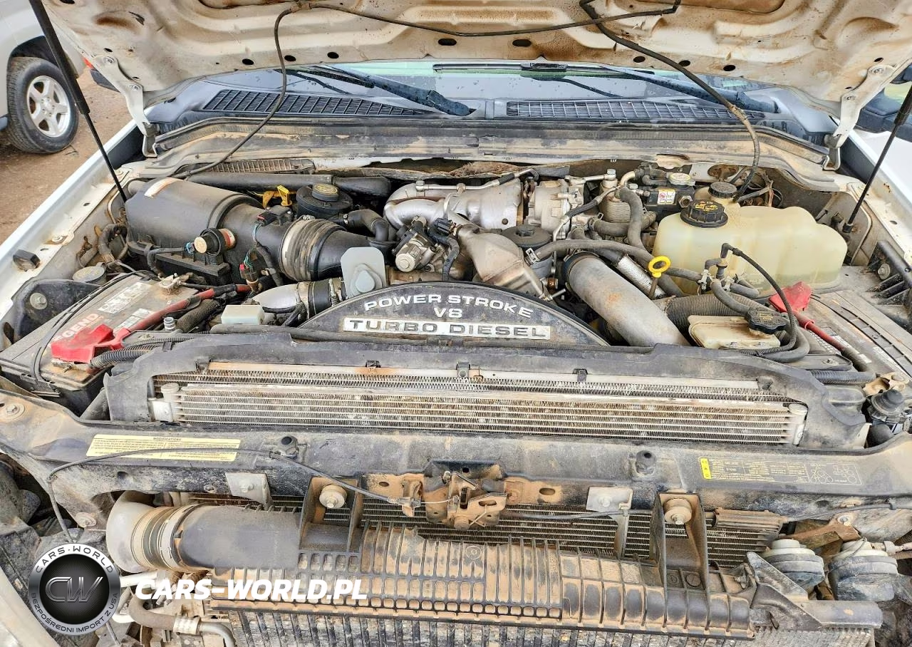 2009 Ford F250 Super Duty VIN:1FTSW21R89EB01433 - 11
