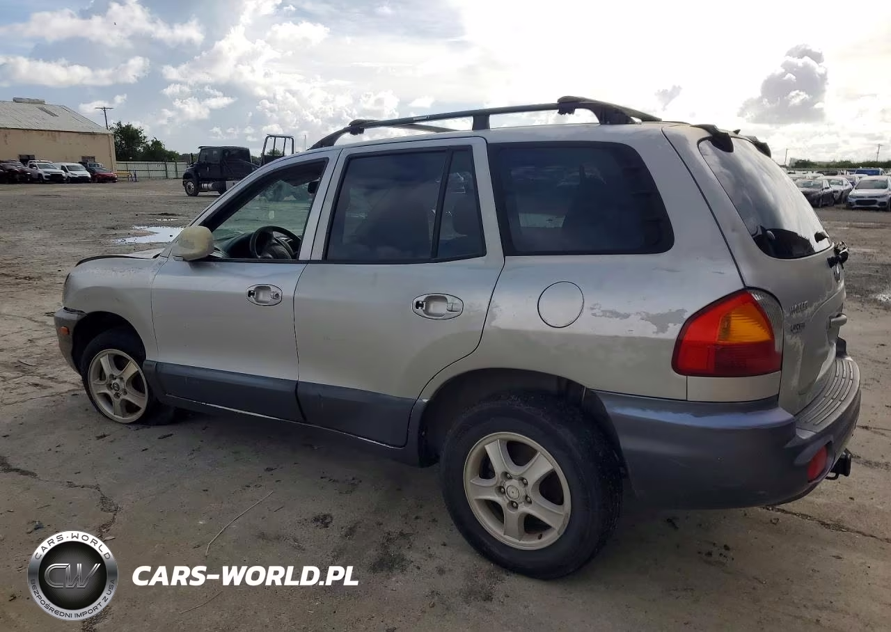 2004 Hyundai Santa Fe Gls VIN:KM8SC13D34U658992 - 2