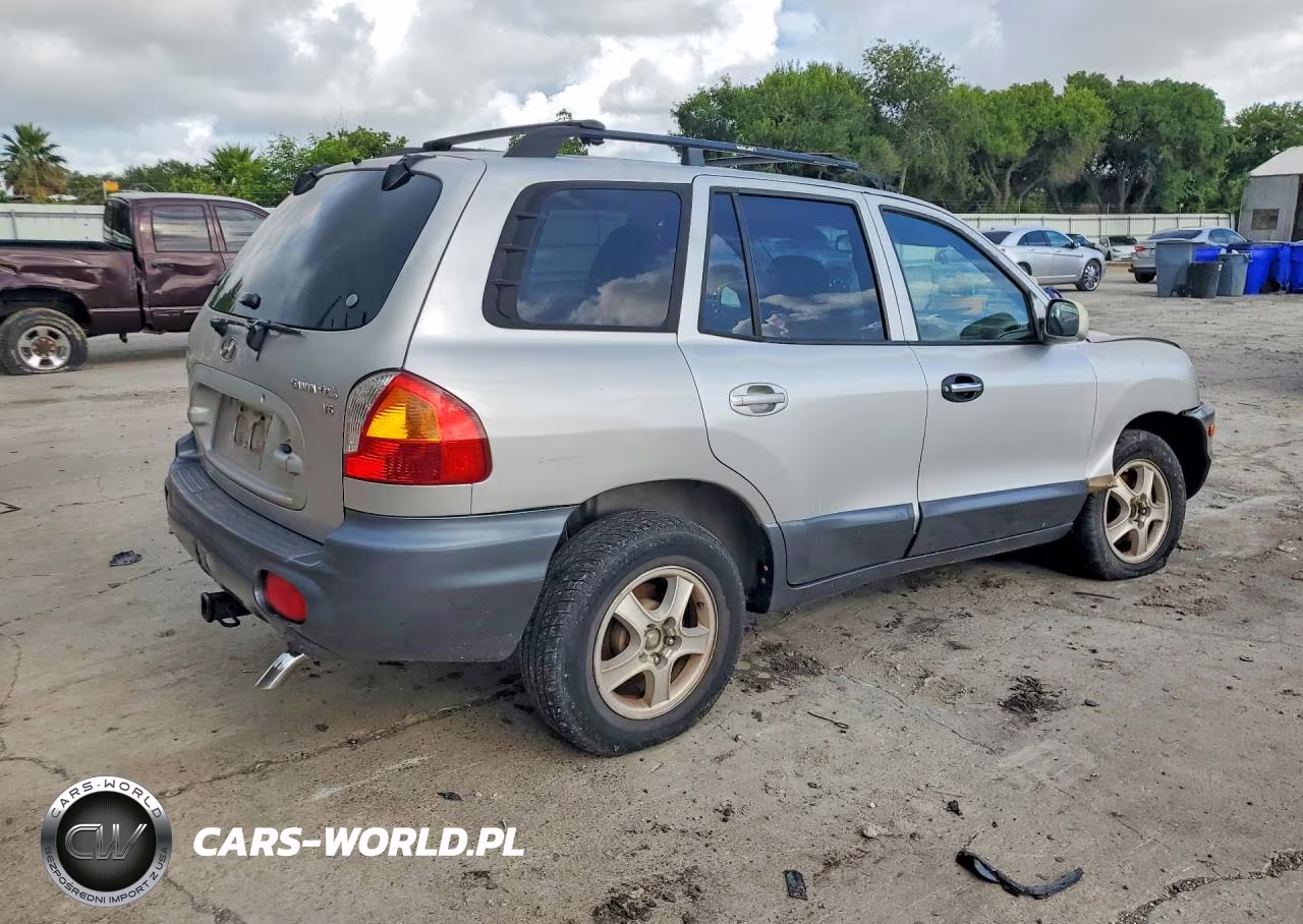 2004 Hyundai Santa Fe Gls VIN:KM8SC13D34U658992 - 3