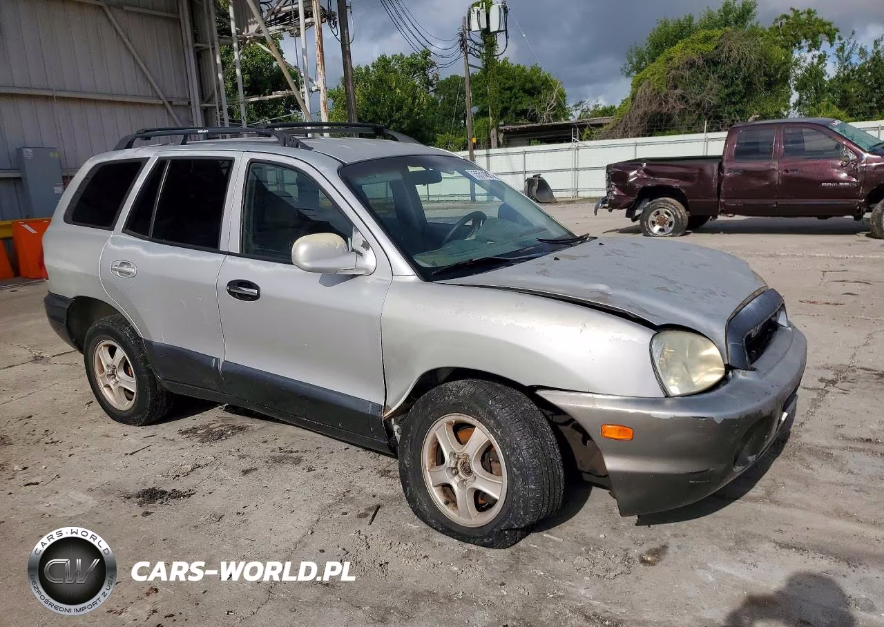 2004 Hyundai Santa Fe Gls VIN:KM8SC13D34U658992 - 4