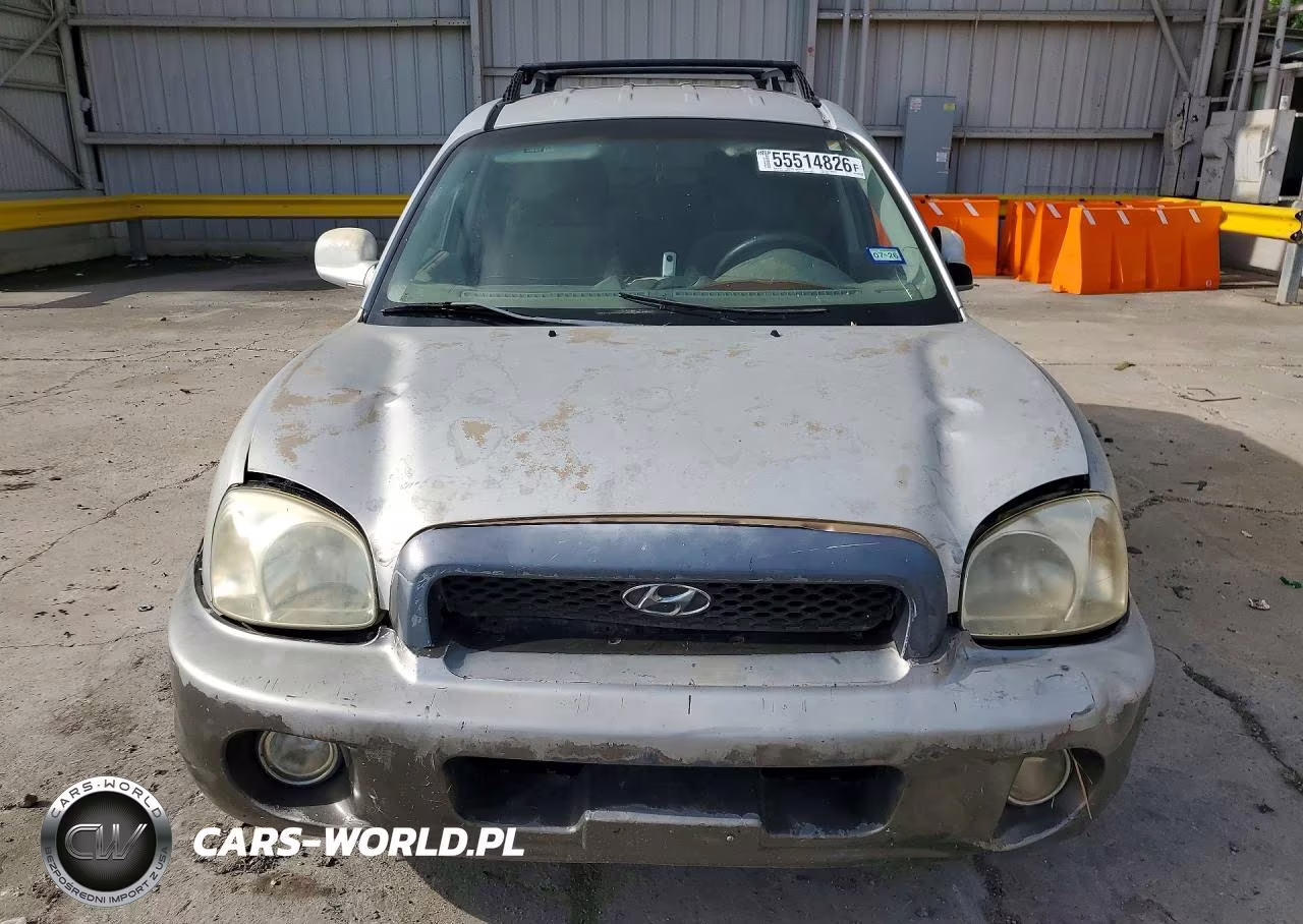 2004 Hyundai Santa Fe Gls VIN:KM8SC13D34U658992 - 5
