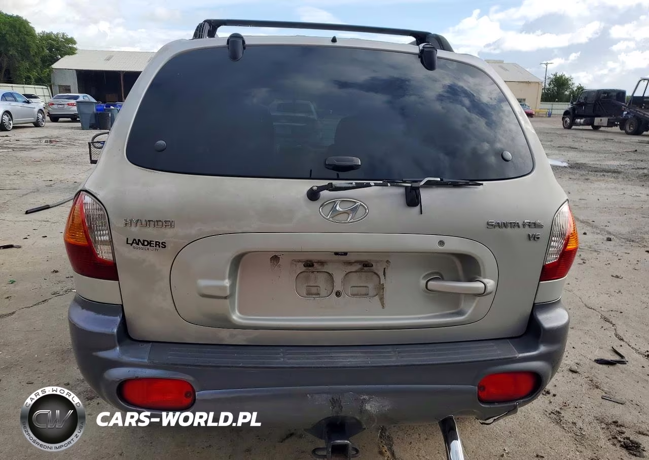 2004 Hyundai Santa Fe Gls VIN:KM8SC13D34U658992 - 6