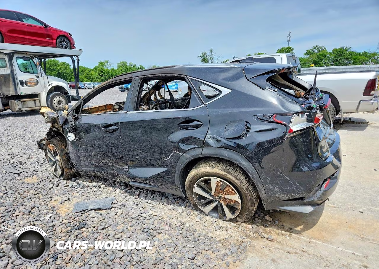 2021 Lexus Nx 300 Base VIN:JTJGARDZ8M5029230 - 2