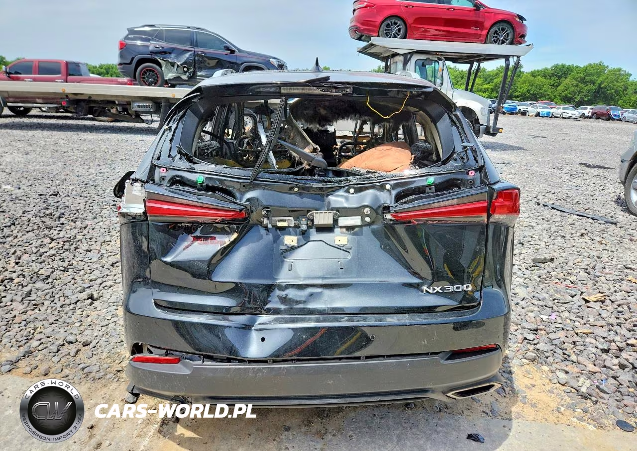 2021 Lexus Nx 300 Base VIN:JTJGARDZ8M5029230 - 6